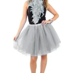 Tule Rok Uit Dansen Zilver Vrouw