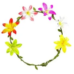 Hibiscus Maan Bloemen Diadeem